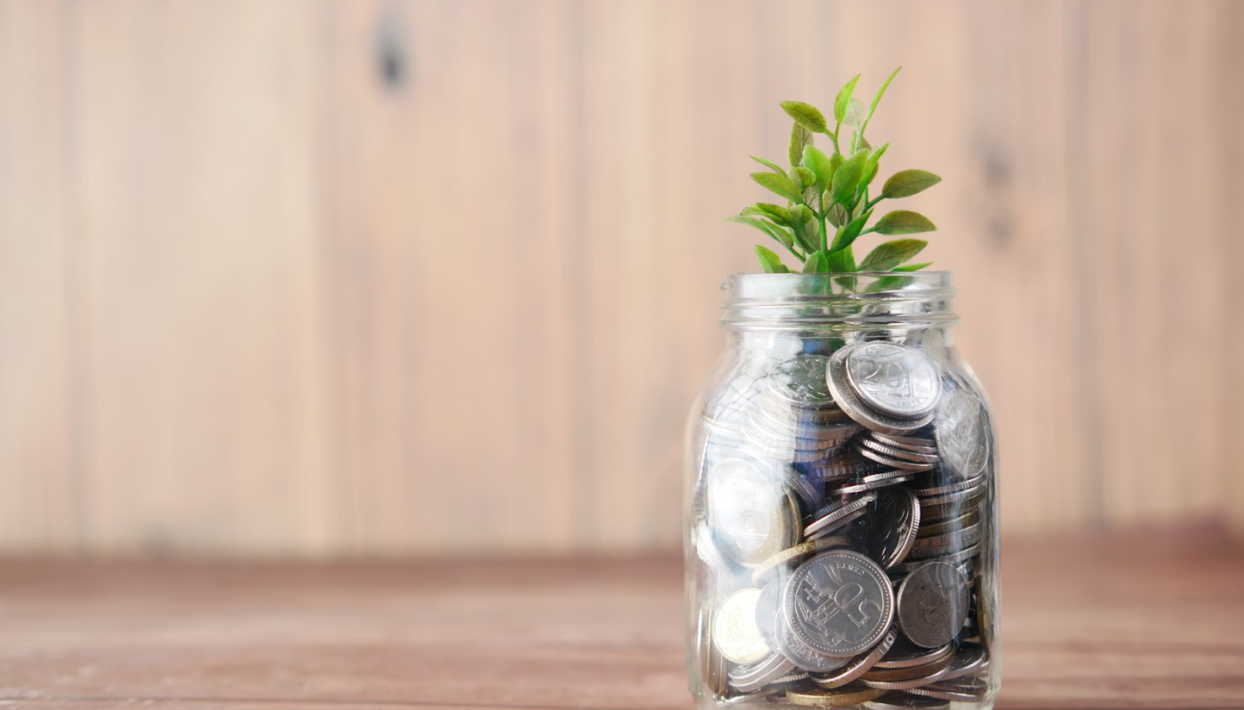 plante verte pousse dans un bocal rempli de pièces de monnaie symbolisant la croissance financière
