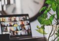 laptop showing video call near houseplant