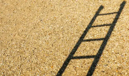 Échelle de Likert : mesurer l'engagement en management participatif