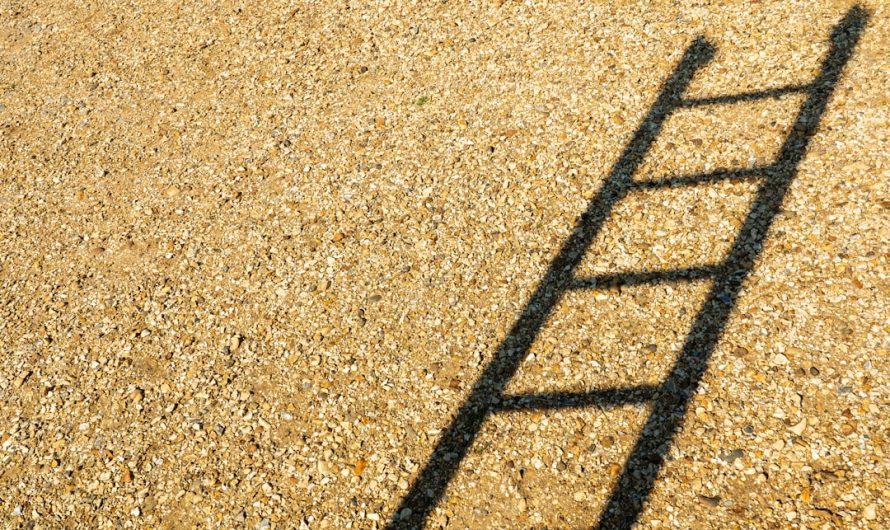 Échelle de Likert : mesurer l&rsquo;engagement en management participatif